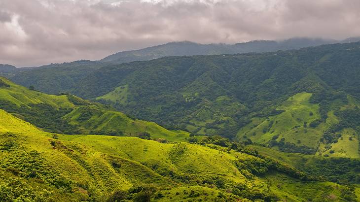 Landscape, Monteverde Cloud Forest