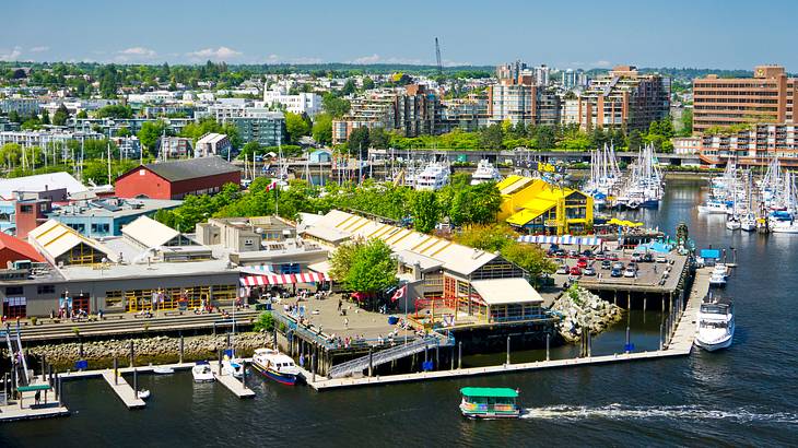 Looking down on a harbour filled with boats, a market and other buildings