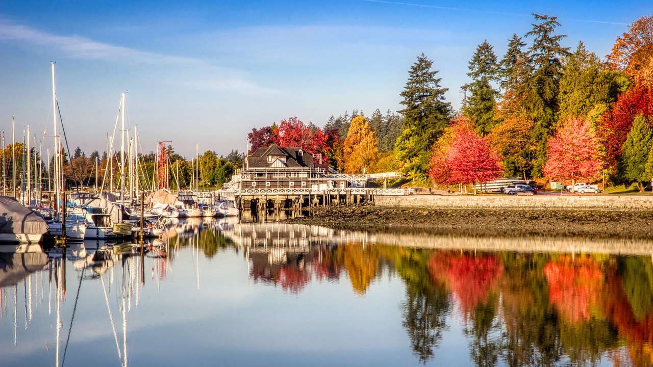 A park with colorful trees and cars right beside a house on the water with boats