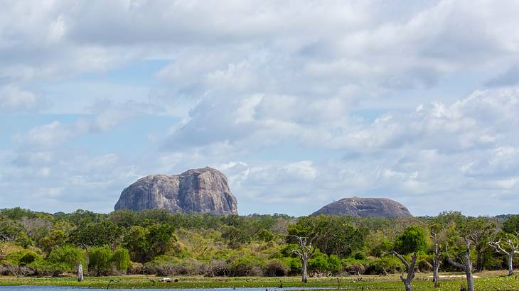 Landscape, Yala National Park