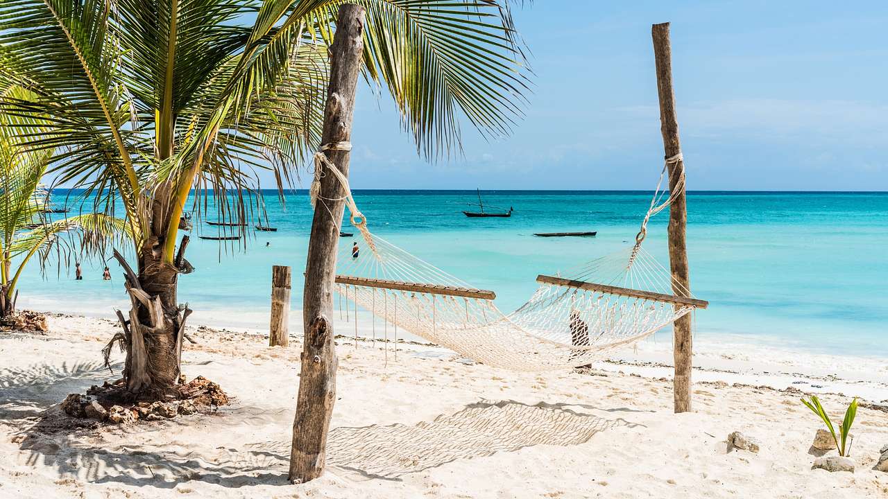 A hammock on a white sand beach next to a palm tree and the ocean