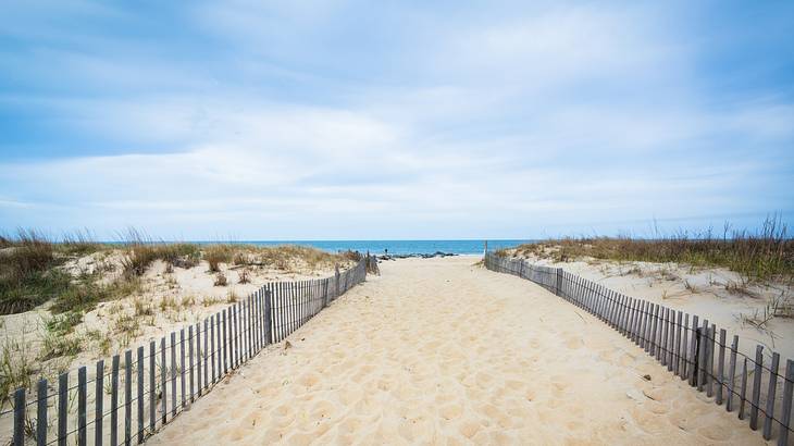 A path of sand with wooden fences on either side leading to the ocean