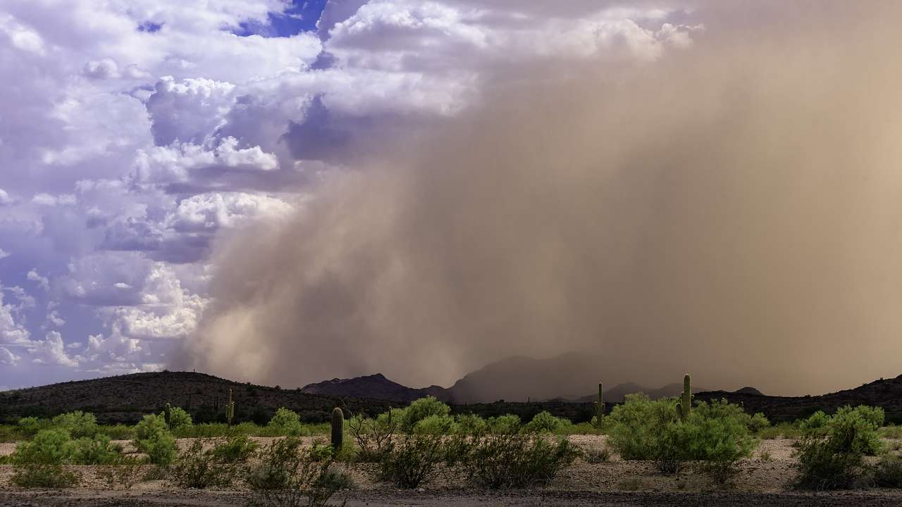 A cloud of dust moving over a desert plain with small green vegetation
