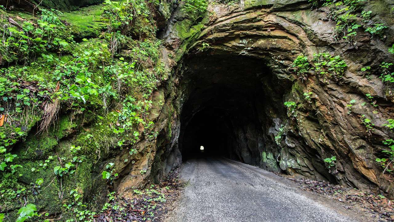 The entrance of a rocky tunnel with moss and plants around it