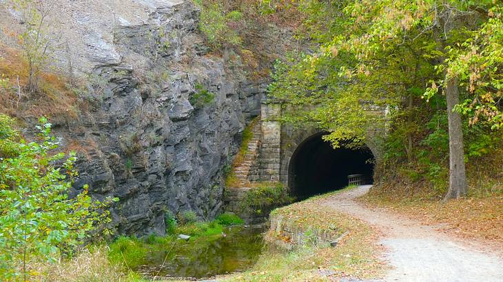 A small tunnel with water going through it surrounded by fall foliage