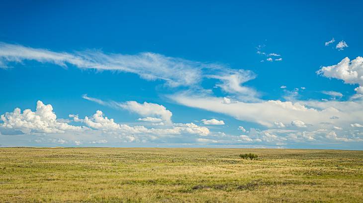 Clouds looming above a vast grassland on a sunny day