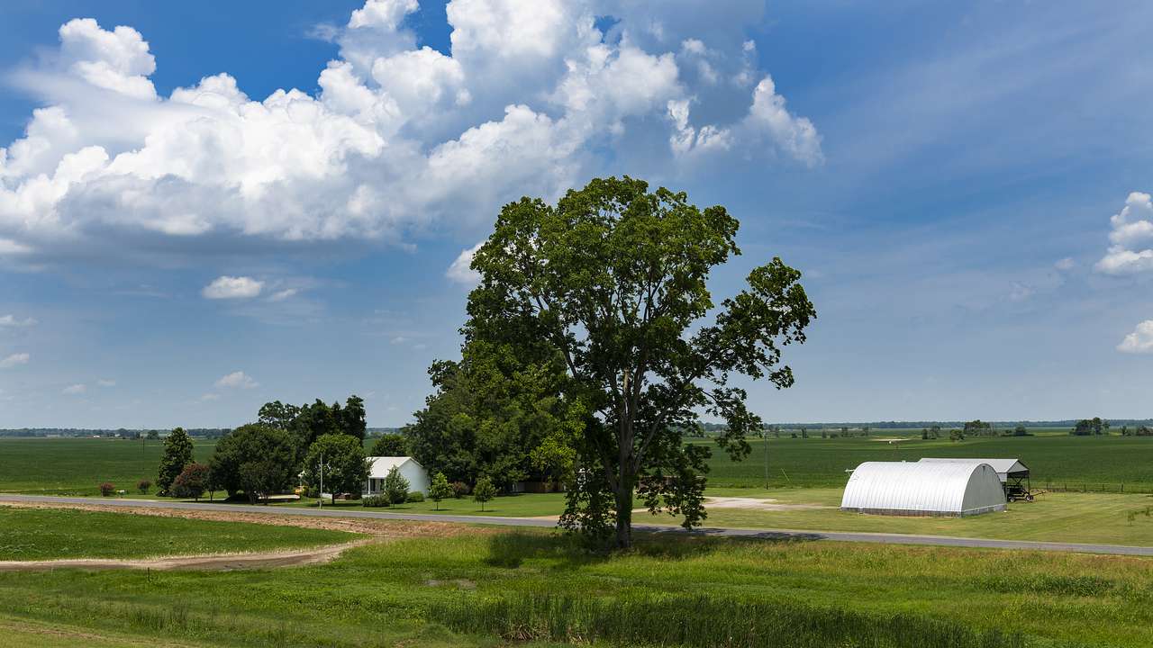 Barns, houses, and trees on a farm in a rural area