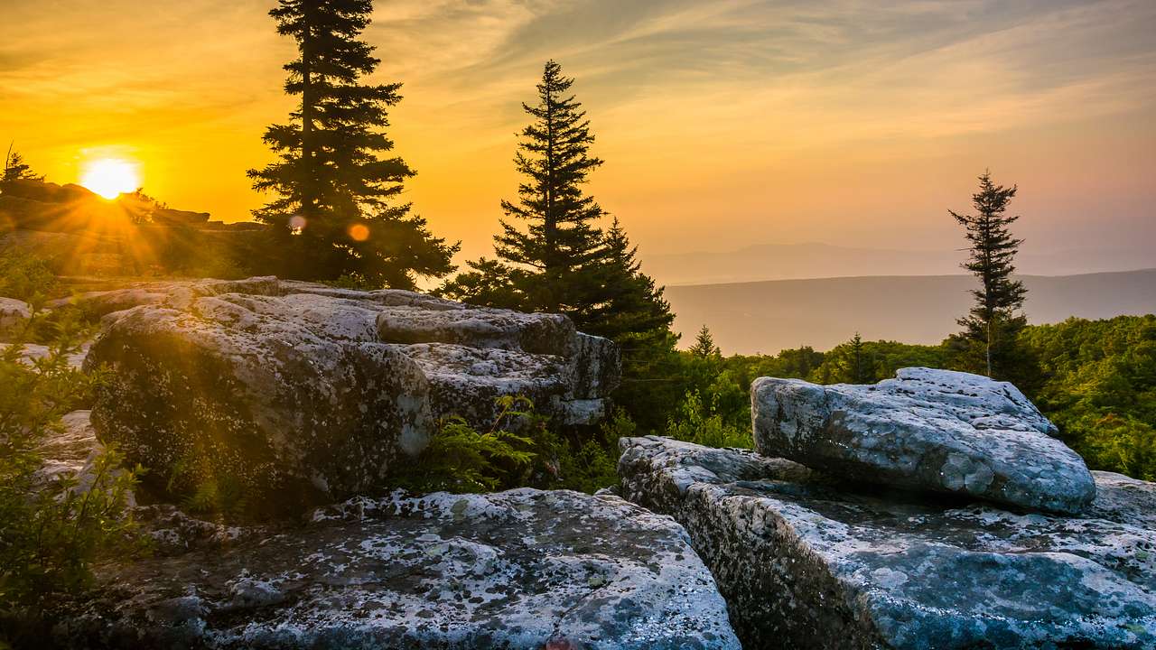 Large gray rocks with pine trees and a golden sunrise in the background