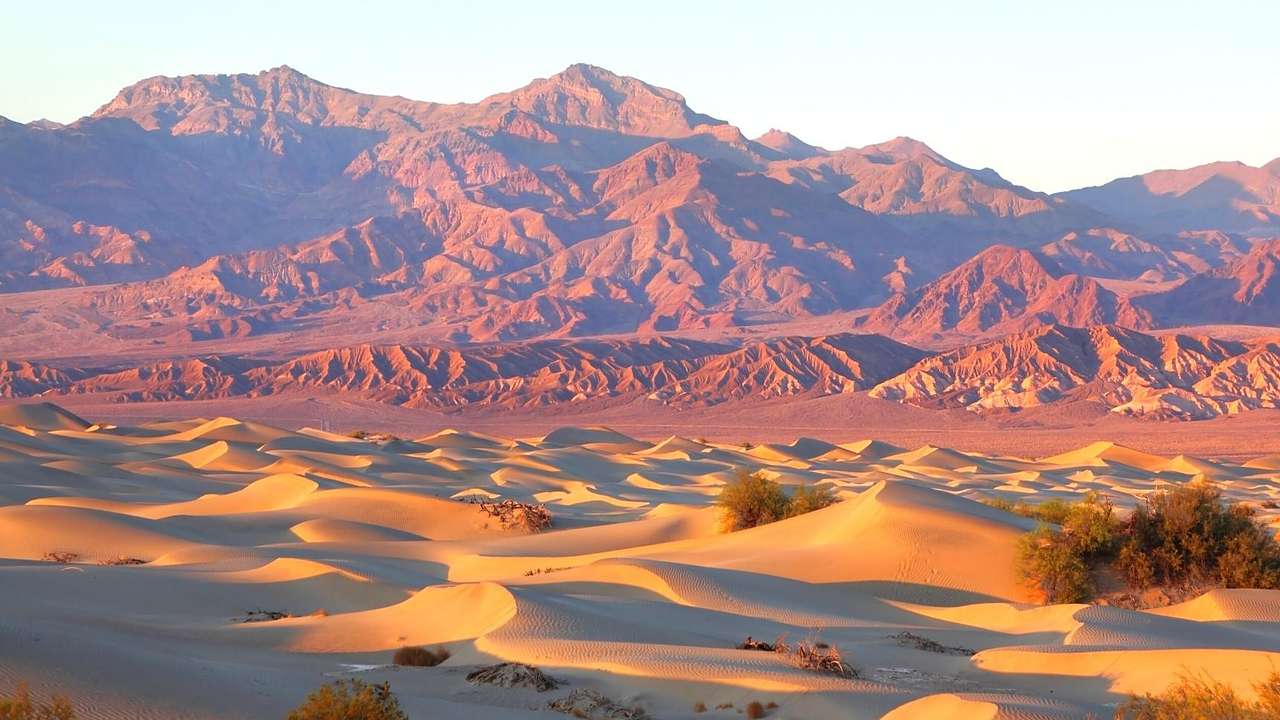 A desert with scattered bushes and rugged brown mountains under a clear sky