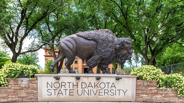 A sign of "North Dakota State University" with a bison's sculpture on it