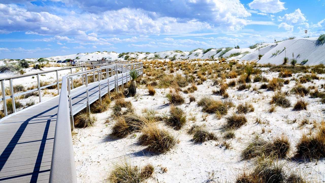 A boardwalk on a white desert with scattered green bushes under a partly cloudy sky