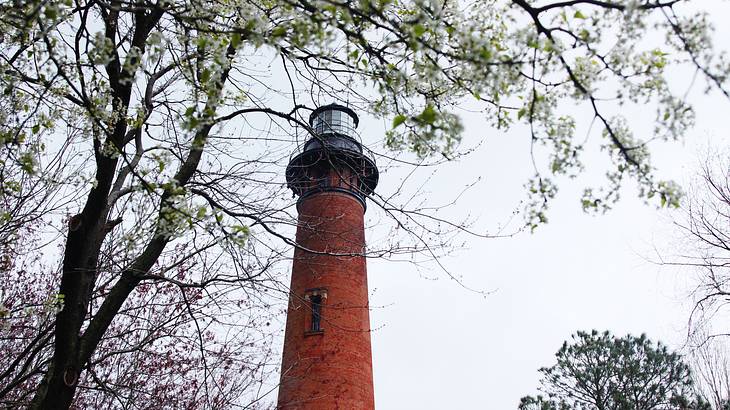 A red brick lighthouse from below with leafy trees around