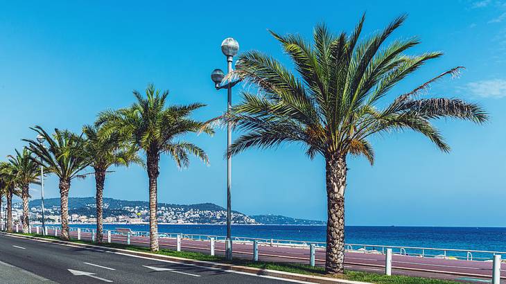 Palm trees along a road and boardwalk on a beautiful, sunny day in Nice, France