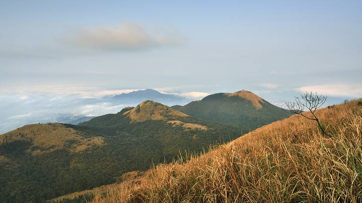 Grassy mountain peaks of Yangmingshan National Park in Taipei