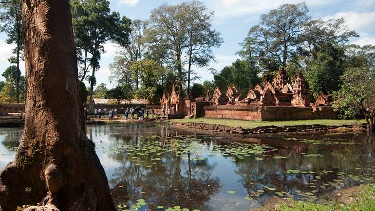 A tree trunk on the left with a pond and more trees/ancient temple ruins at the back A tree trunk on the left with a pond and more trees/ancient temple ruins at the back