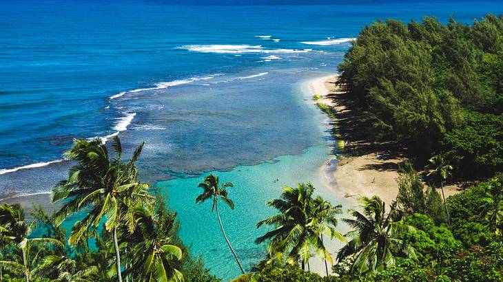 An aerial view of the coast with blue sea, sand, and palm trees