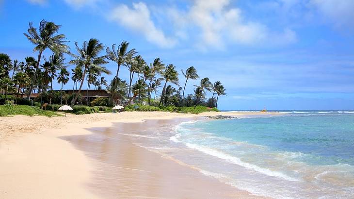 White sand with waves coming in on one side and palm trees on the other