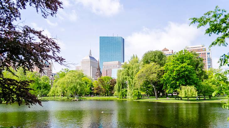 A lake with green trees surrounding it and city skyscrapers in the background