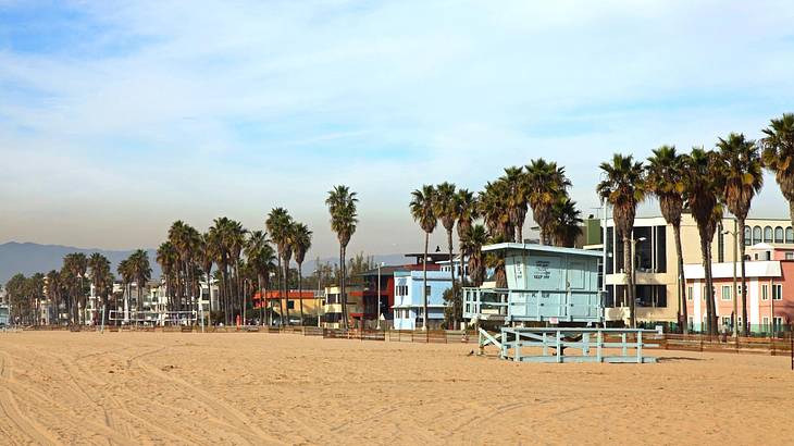 A sandy shore with palm trees and colored buildings
