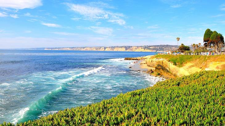 The ocean with greenery-covered cliffs to the side under a blue sky