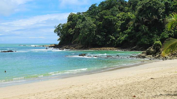 A tropical beach with turquoise water, sand, and green trees