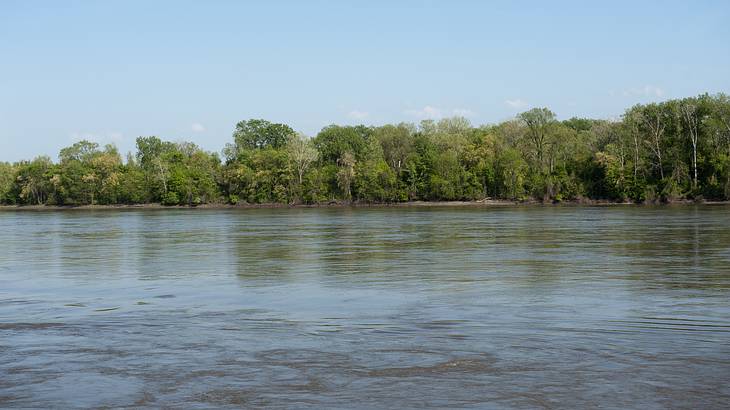 Lush greenery on either side of a wide river and a sky with clouds in the background Lush greenery on either side of a wide river and a sky with clouds in the background