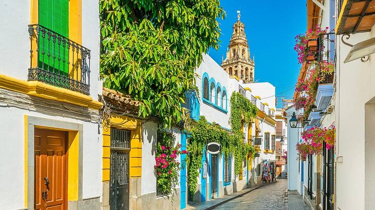 A street with buildings with colourful doors and flowers on them on a sunny day