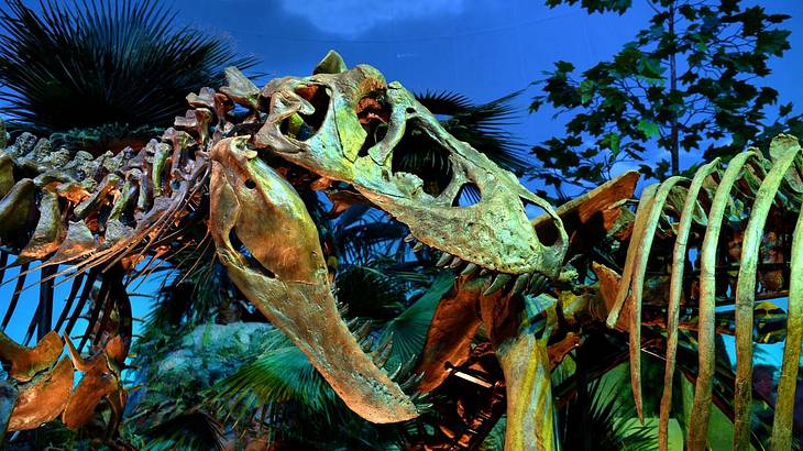 A close-up of a dinosaur's skull against green leaves and a dark sky