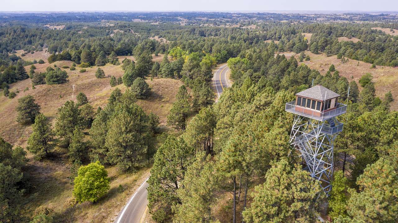 Aerial shot of a lookout tower and road winding through a forest
