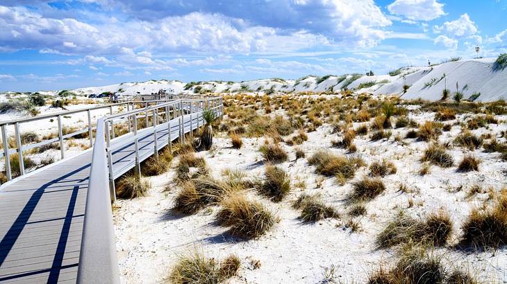 A boardwalk on a white desert with scattered green bushes under a partly cloudy sky