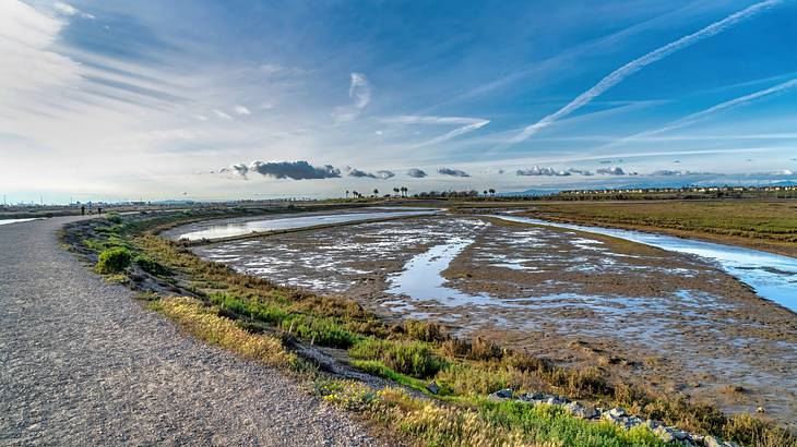 A dirt path and wet coastal land under a blue sky with some clouds