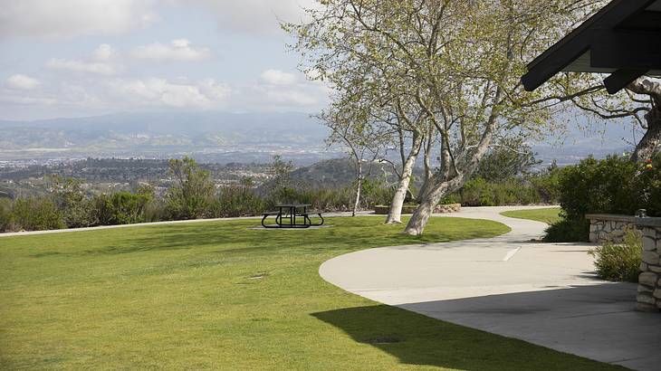 Green grass in a park with a path to the side and trees surrounding Green grass in a park with a path to the side and trees surrounding