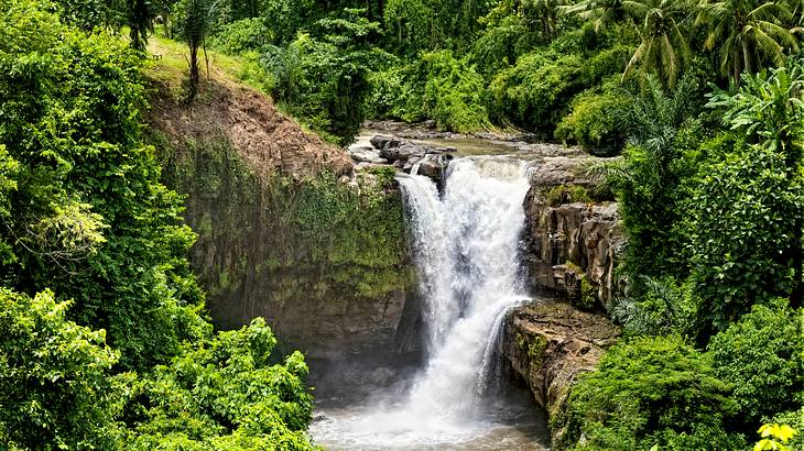Tegenungan Waterfall, Bali, Indonesia
