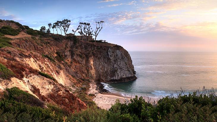 Sunset view over a cliff along the beach with some vegetation