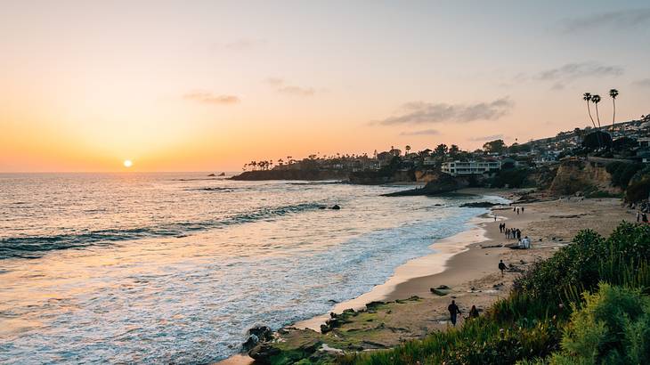 Sunset in the ocean background with buildings and vegetation along the shore