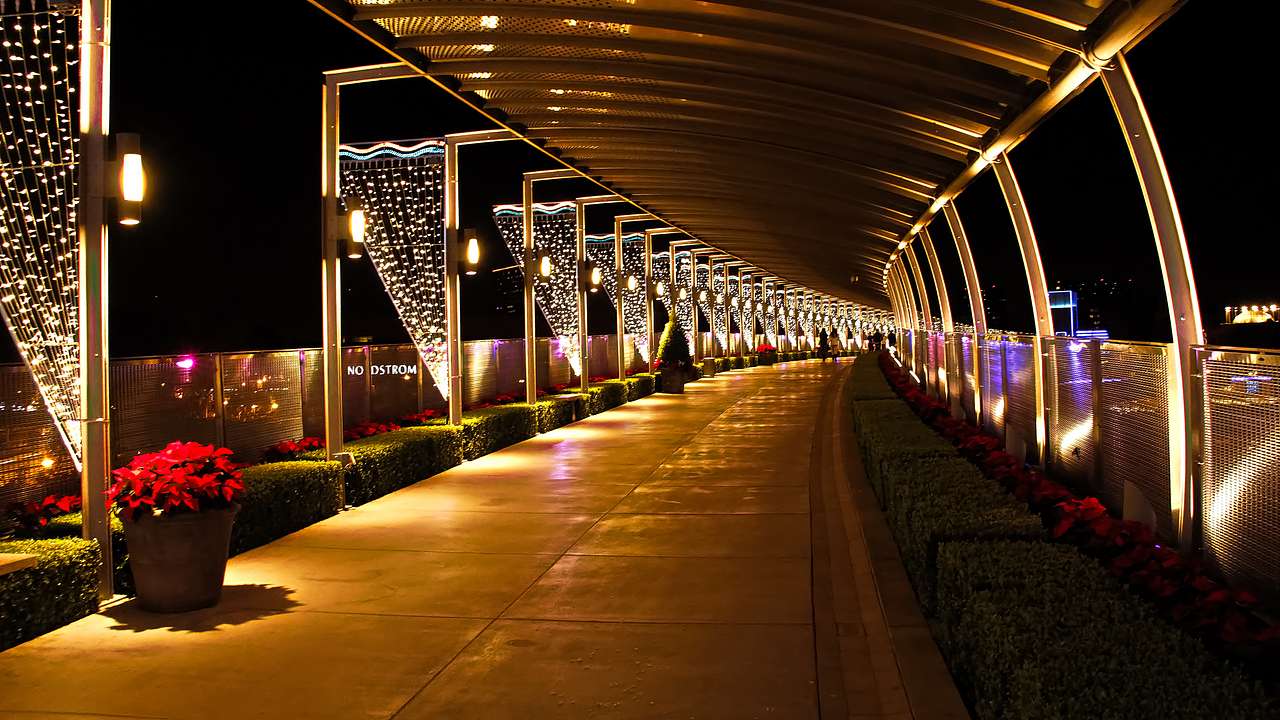 Roofed walkway lit up at night with white lights and lined with red plants