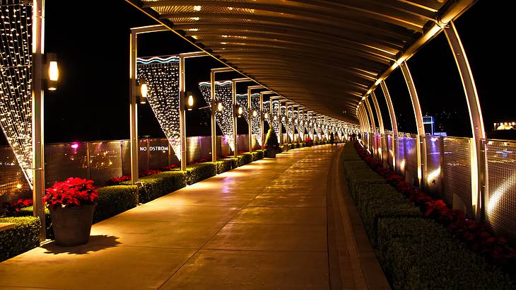 Roofed walkway lit up at night with white lights and lined with red plants