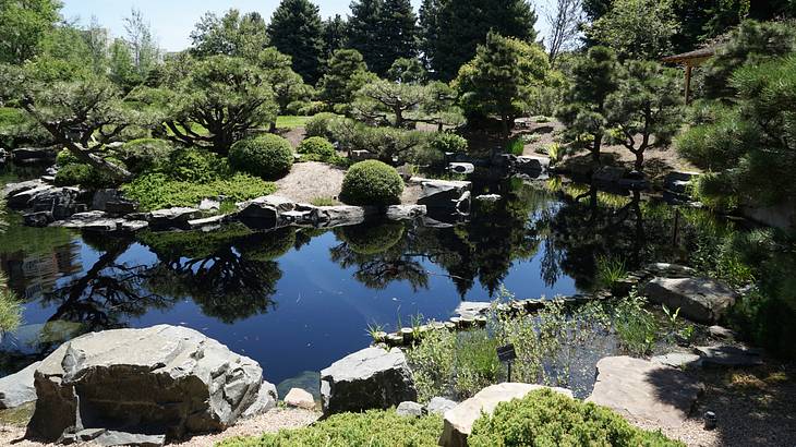 A pond surrounded by rocks and green trees