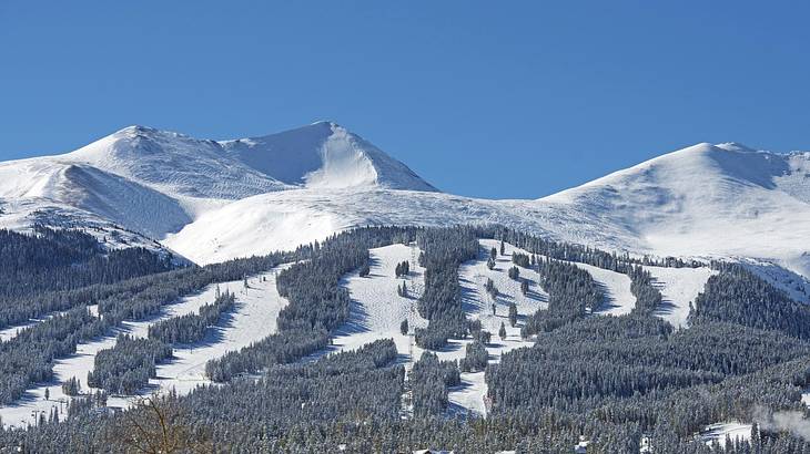 Snow-covered mountains with trees on them under a blue sky
