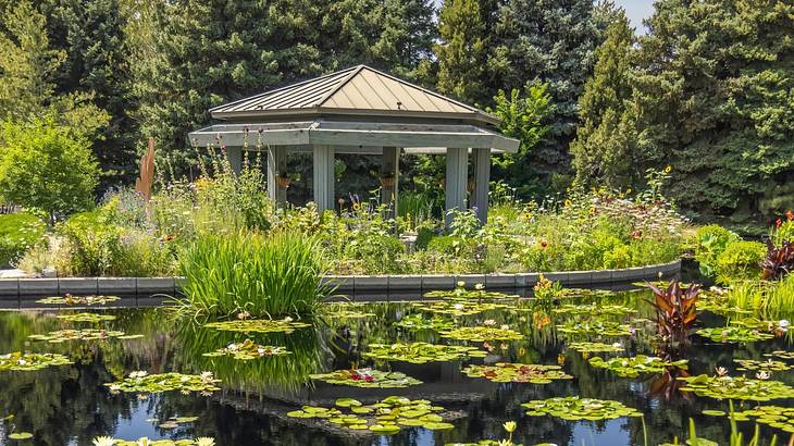 A garden gazebo-style structure with a pond and trees surrounding it