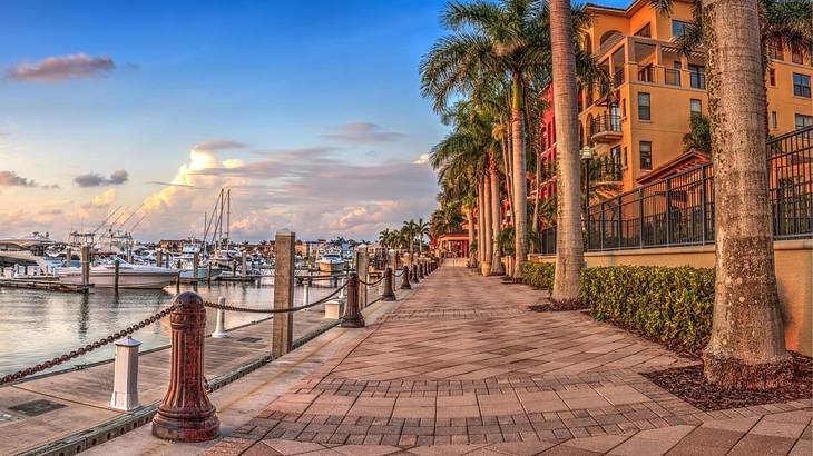 A walkway with a marina on the left, palm trees & colorful buildings on the right