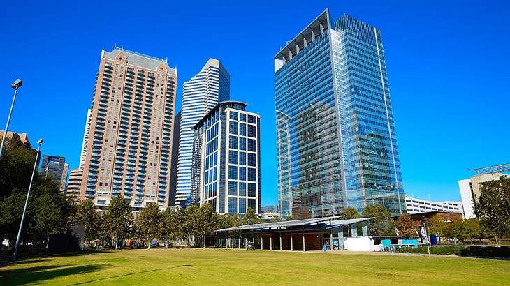 A perfect place to hang out during a weekend in Houston, Texas, is Discovery Green