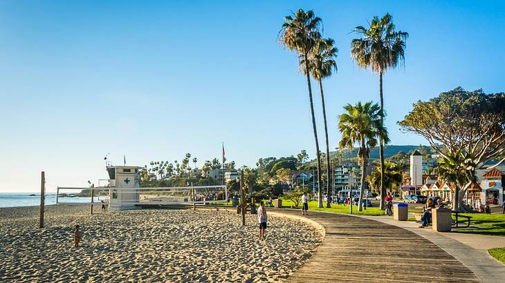 A wooden walkway with a beach on one side & palm trees on the other under clear sky