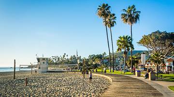 A wooden walkway with a beach on one side & palm trees on the other under clear sky