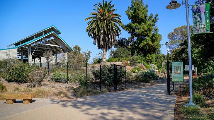 An open metal gate leading to an arboretum with brown grass, vegetation and trees