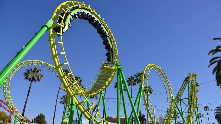 Looking up at a green color roller coaster against palm trees and clear blue sky