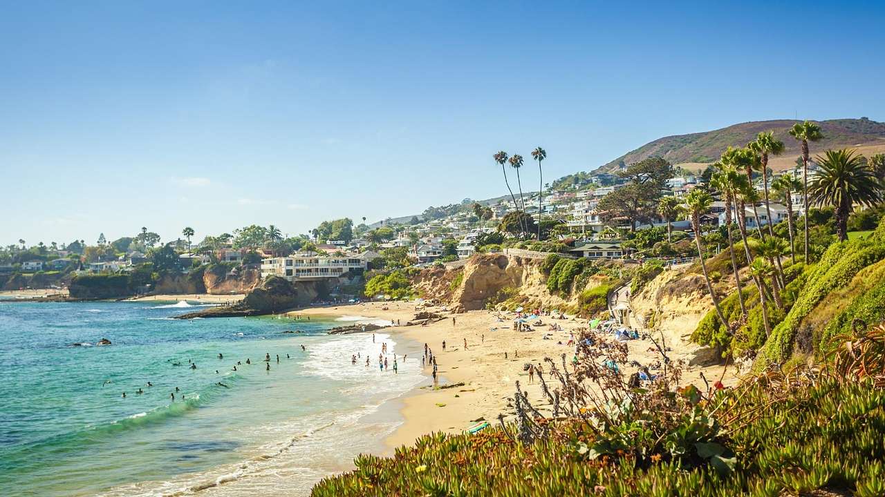 A beach and greenery-filled cliff with palm trees and a town under a clear blue sky