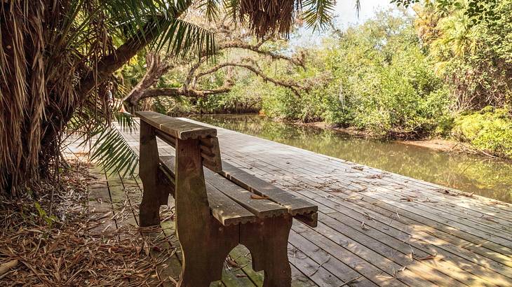 One of the unusual things to do in Fort Myers, Florida is Koreshan State Park