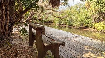 One of the unusual things to do in Fort Myers, Florida is Koreshan State Park