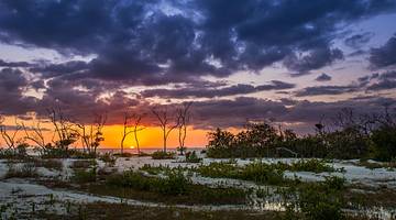 A white sand beach with mangroves & bushes against a sunset under an evening sky